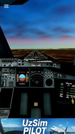 RFS - kockpit view of the landing🛬 #aviation