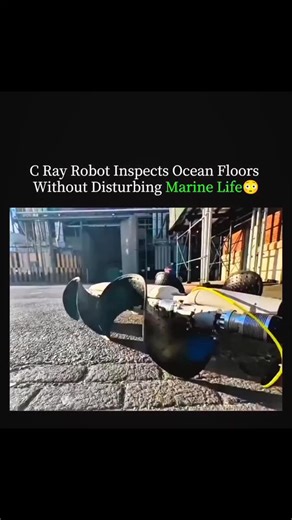 explain_eduverse_ | The C-Ray Robot is a revolutionary underwater explorer designed to inspect ocean floors with precision and care. . . Unlike traditional... | Instagram