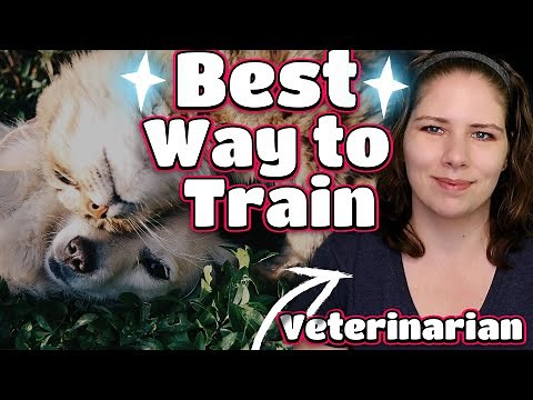 Scientific Training Tips | Vet Explains the Best Behavior Modification Method