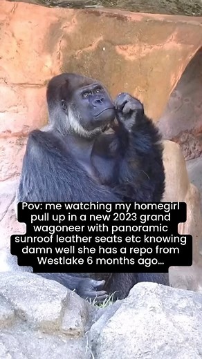 📢 Hey everyone! 👋 Did you know that getting a repo removed from your credit history can be a lengthy process? ⏳ It’s true! Many people wonder how long it takes for a repo to be completely wiped off their credit report. Well, the answer isn’t a simple one, as it depends on various factors. ✅ First and foremost, the time it takes to remove a repo from your credit history depends on how quickly you take action to address the issue. The sooner you start working on repairing your credit, the faster