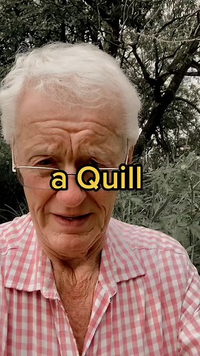 5.3K views · 29 reactions | I could make a quill #quill #writing#571 | Brian Smith | Facebook