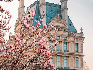 The Louvre In Paris – Experience It From Your Couch