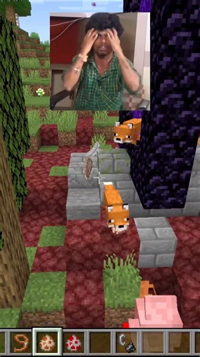 Minecraft Logic Moment 🙀