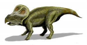 Protoceratops - Alchetron, The Free Social Encyclopedia