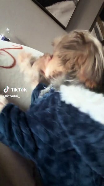 Celebrate Your Dog's Birthday with Fun Ideas