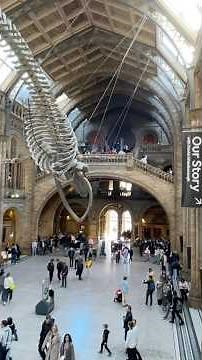 Museum Tour in London, UK 🇬🇧 Victoria and Albert Museum (V&A) 🦖 Natural History Museum