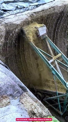 Silage Cutter Machine – Powerful Farming Technology for Animal Feed
