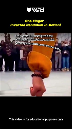 One Finger Balance?! 😳 Inverted Pendulum Physics Explained #shorts