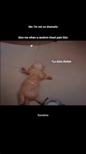 Exploring the Meaning of Sunshine in Everyday Life