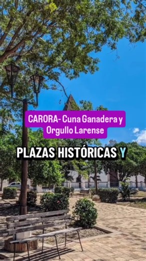 Caroradenoche1 on Instagram: "CARORA- cuna ganadera y orgullo larense Carora Edo Lara Video cortesía #lara #reels"