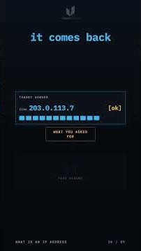 What Is an IP Address?