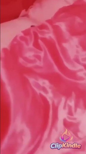 Sleeping Pets on the Bed Are Too Cute to Handle 🐶🐱💤