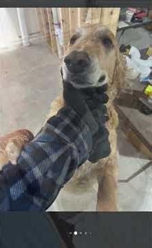 Son of Bay City Middle School Principal Caught in Online Predator Sting.