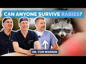 The Virus With A Greater Than 99% Death Rate: Rabies Explained