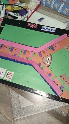 #modelforschool #dnareplication dna replication model #biology #12th #neetmotivation #neetupdate
