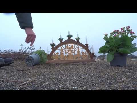 Shellys Ranger / Army Boots stomp, trample and destroy Christmas lights plus some flowers / plants