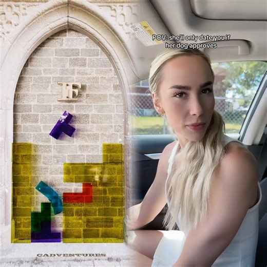 a bribe doesn’t count #dogtok #dogs #fyp #funnydog #pets #dating