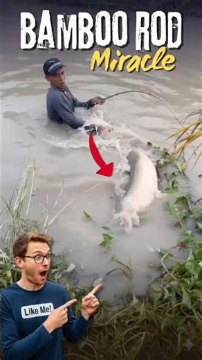 THIS BAMBOO ROD SHOULD’VE SNAPPED! arapaima fishing miracle catch
