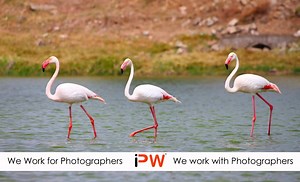 Book our 8 hours one day workshop on 'Basic Photography'. Tickets...