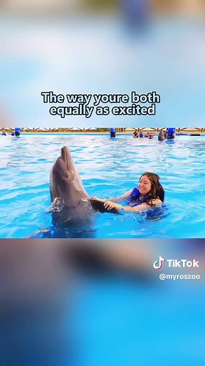 The connection with the dolphins is truly amazing.#Dolphin #Marine #Heartwarming #Animal#Ocean