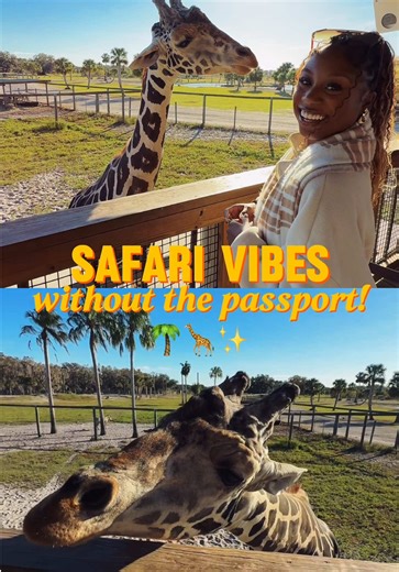 Wild Florida Safari: Ring-Tailed Lemur Encounter