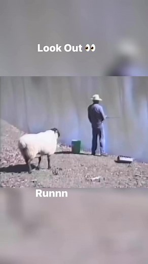 4.5K views · 55 reactions |  Look Out . *Disclaimer: I do...