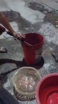 Washing fish using a car wash machine.