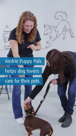 Make real financial progress with BMO’s Business Banking tools. | BMO Financial Group