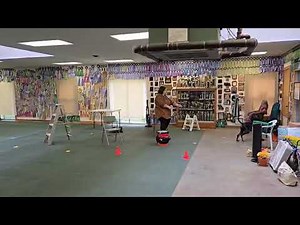 AKC Scentwork Trial - Excellent Interior - NQ (incorrect call) - BDOC