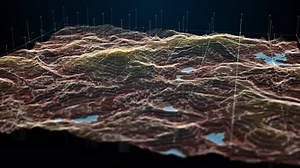 Contour Landscape 12