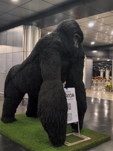 Entebbe international airport #visituganda