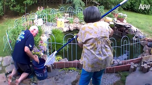 2024 Year in Review 😄 Best Funny Videos of the Year