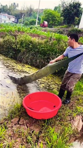 No Hook, No Rod… Just a Secret Canal Trap… Next Morning FULL of Crawfish 😳🦞🔥