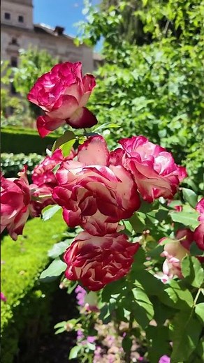 Gartenreise nach Andalusien #gartenreise #traumgarten #andalusien