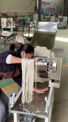 noodle press machine with strip making function # multi-functional noodle press machine#commercial