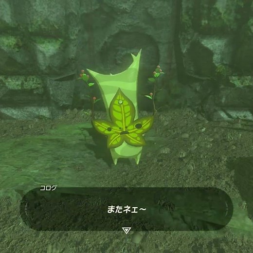 【ブレワイ】ウボッツ台地のコログ ゼルダの伝説ブレスオブザワイルド #ゼルダの伝説 #ブレワイ #zelda #shorts