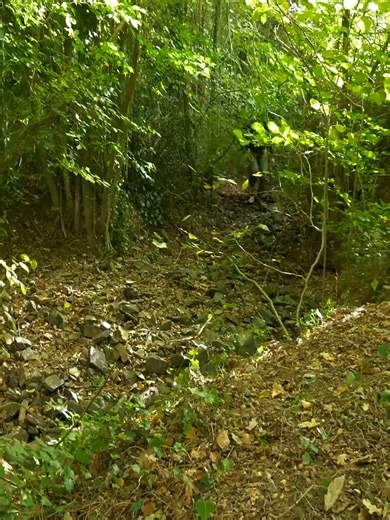 Explore Solo Camping Techniques for Survival Enthusiasts