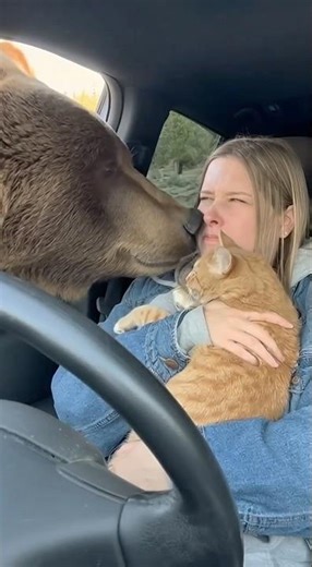 Will the woman and her cat be attacked by the bear? 👩🐱🐻❓ 여자와 고양이가 곰의 공격을 받게 될까? #bear #danger #cat