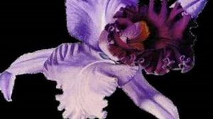 Haggard - Herr Mannelig (Long Version)