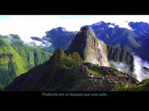 SIMON & GARFUNKEL - EL CONDOR PASA - IF I COULD - Subtitulos en Español - volandoconalas