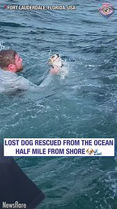 211K views · 9.2K reactions | A nail-biting rescue with a happy ending!  | Bright Side Fun | Facebook
