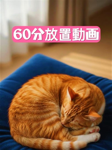 120分の作業用放置動画