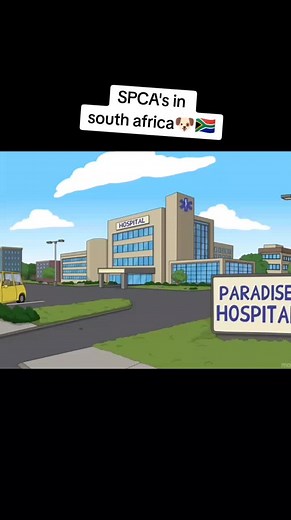 Gwejeee Zulu Comedy Videos with Talking Dogs | SPCA in South Africa 🐶🇿🇦