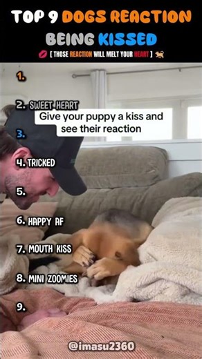 I Kissed 9 Dogs... Their Reactions Are PRICELESS! 🐶❤️