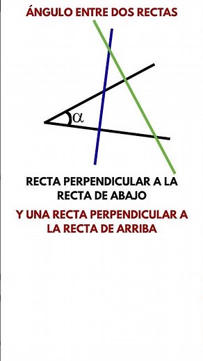 Did you know this? The angle DOES NOT change when drawing perpendicular lines. #mathematics #phys...