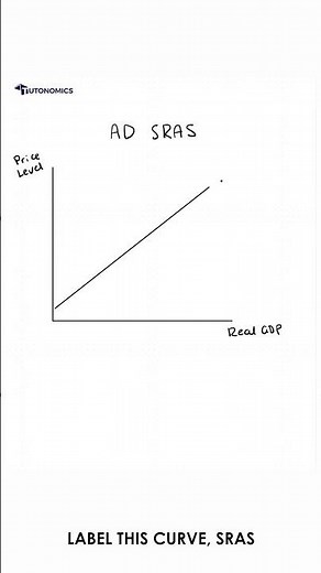 A Level Economics: AD / SRAS curves