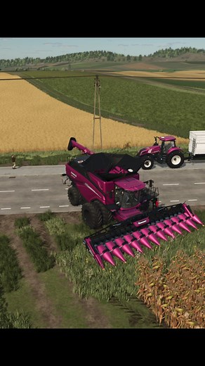 Corn harvest with a pink combine! 🌽💗 Style meets power in Farming Simulator 25! 🚜 #FarmingSimulator #FS25 #CornHarvest #harvester #agriculture | Mazarat Gaming