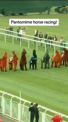 Brian's Amazing Pantomime Horse Racing Victory