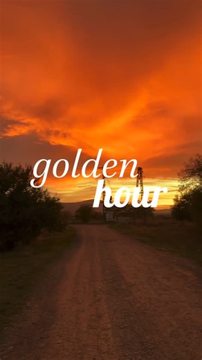 Everything_but_cycling on Instagram: "Follow & leave a legendary GIF 🙏"