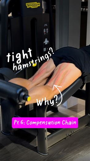 Jake Blundell on Instagram: "P.S. Hosting my first ever live masterclass! Comment “ticket” for a seat and all details. Your hamstrings might not be tight because they’re short. They’re often tight because they’re compensating. Sitting keeps your hips flexed and your glutes underactive. Your brain leans on your hamstrings for stability, so they stay tense trying to control the pelvis and spine. That’s why stretching only helps for a moment. Here’s how to fix the pattern: 1️⃣ Glute Bridge March 2️